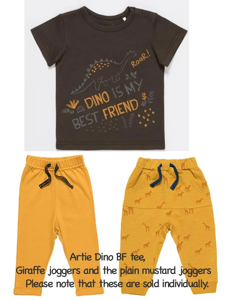 Artie - Dino Best Friend Grey Baby and Boy T Shirt