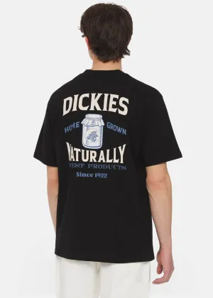 Dickies Men Elliston Jar T-Shirt Schwarz