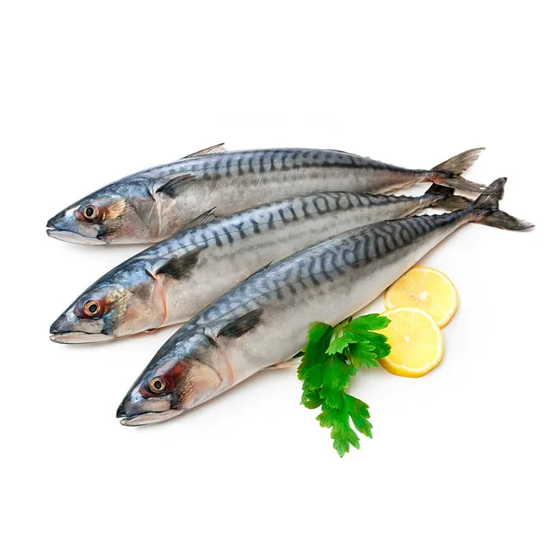 Fresh delicious seafood