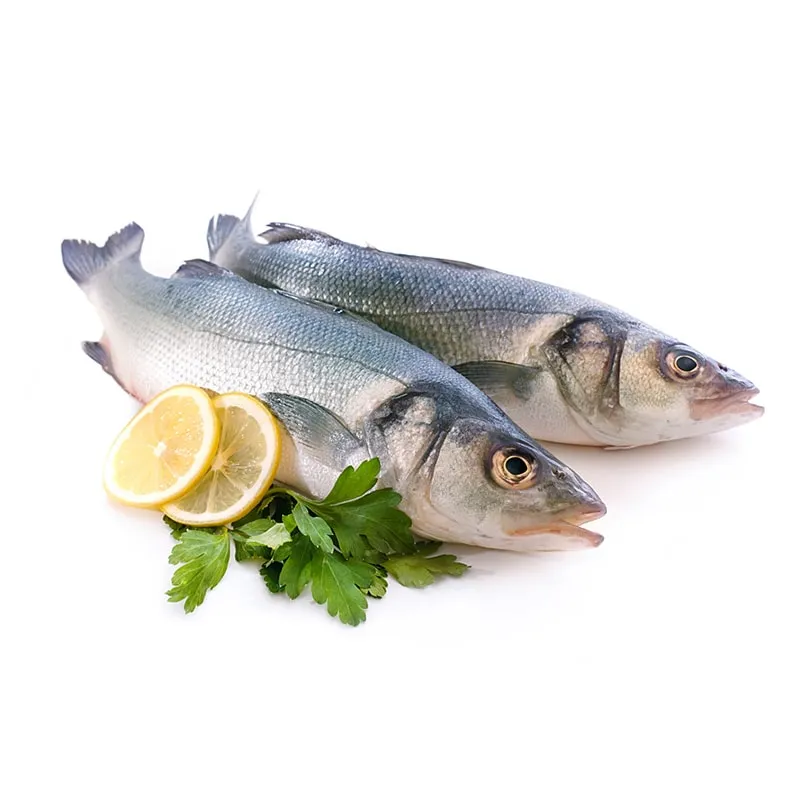 Fresh delicious seafood