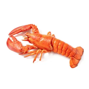 Fresh delicious seafood