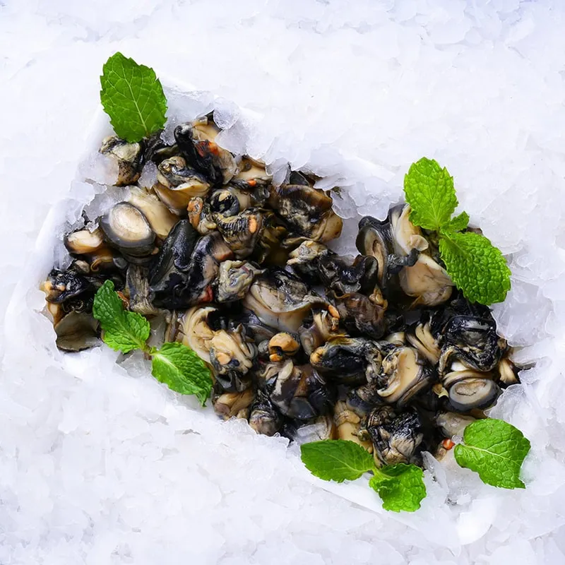 Fresh delicious seafood