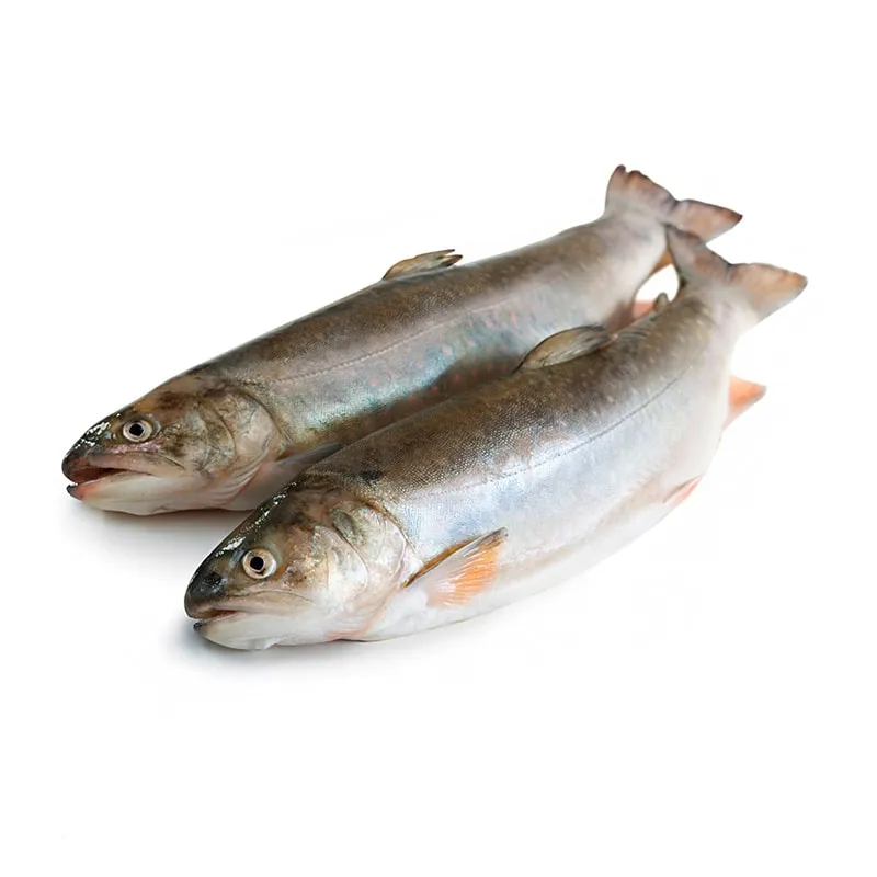 Fresh delicious seafood