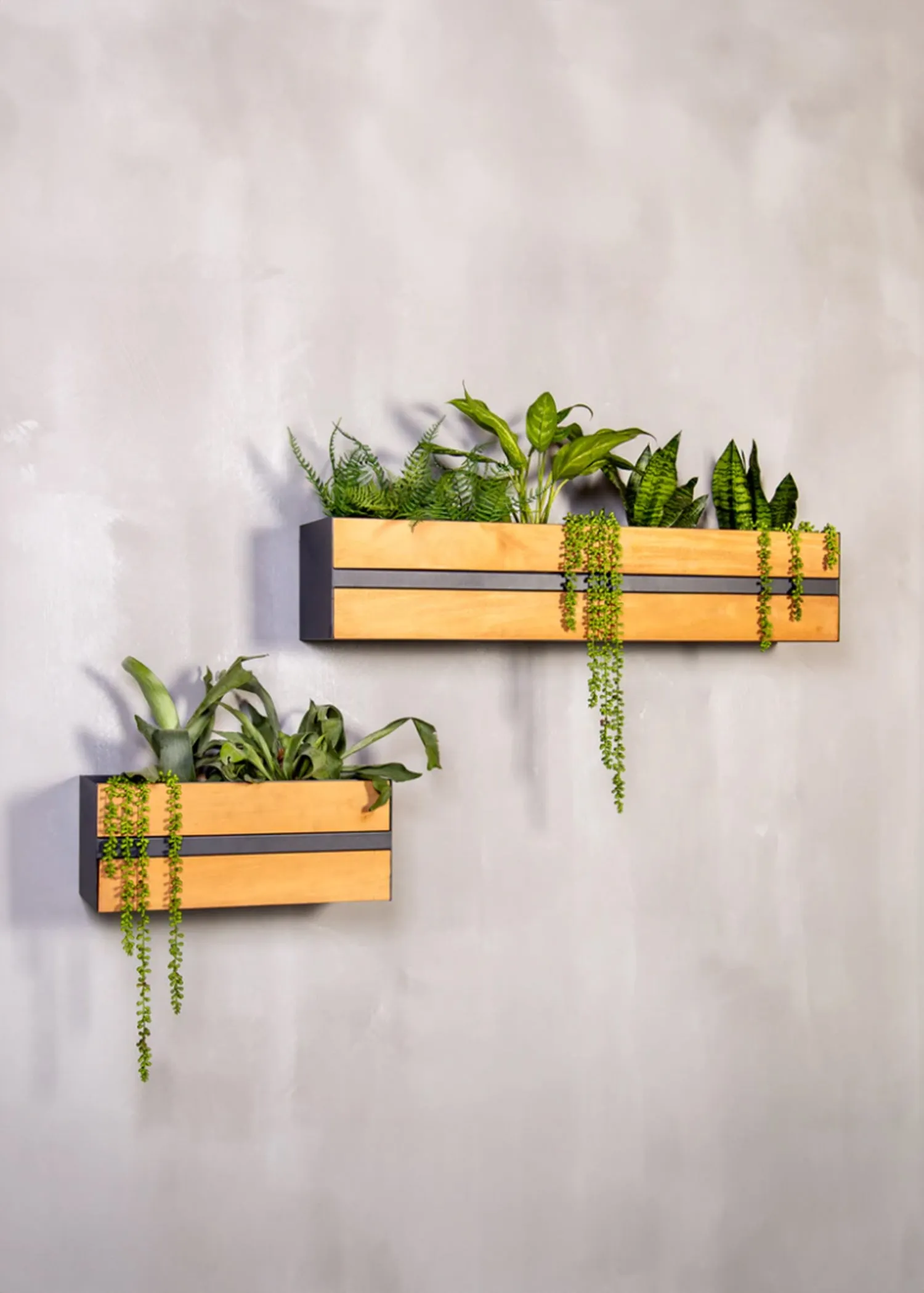 Groove Stainless Steel & Wood Indoor Wall Planter