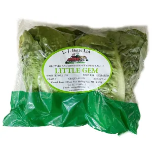 L. J. Betts Little Gem Lettuce