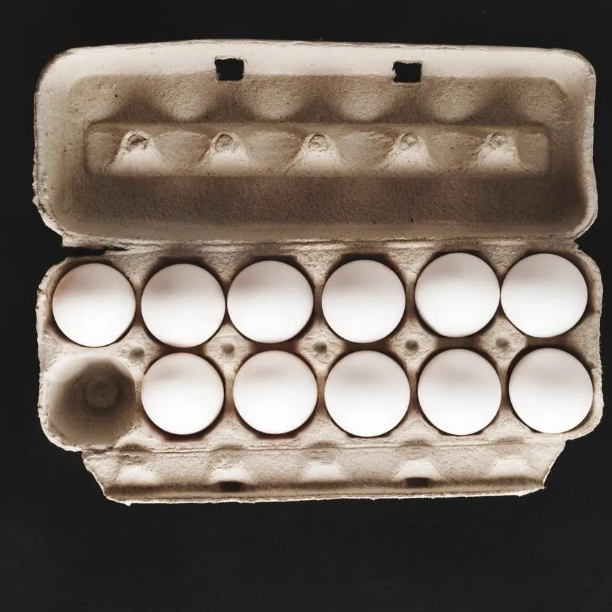 Refill Eggs (each)