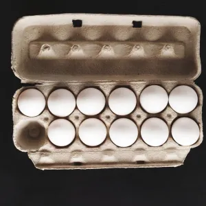 Refill Eggs (each)