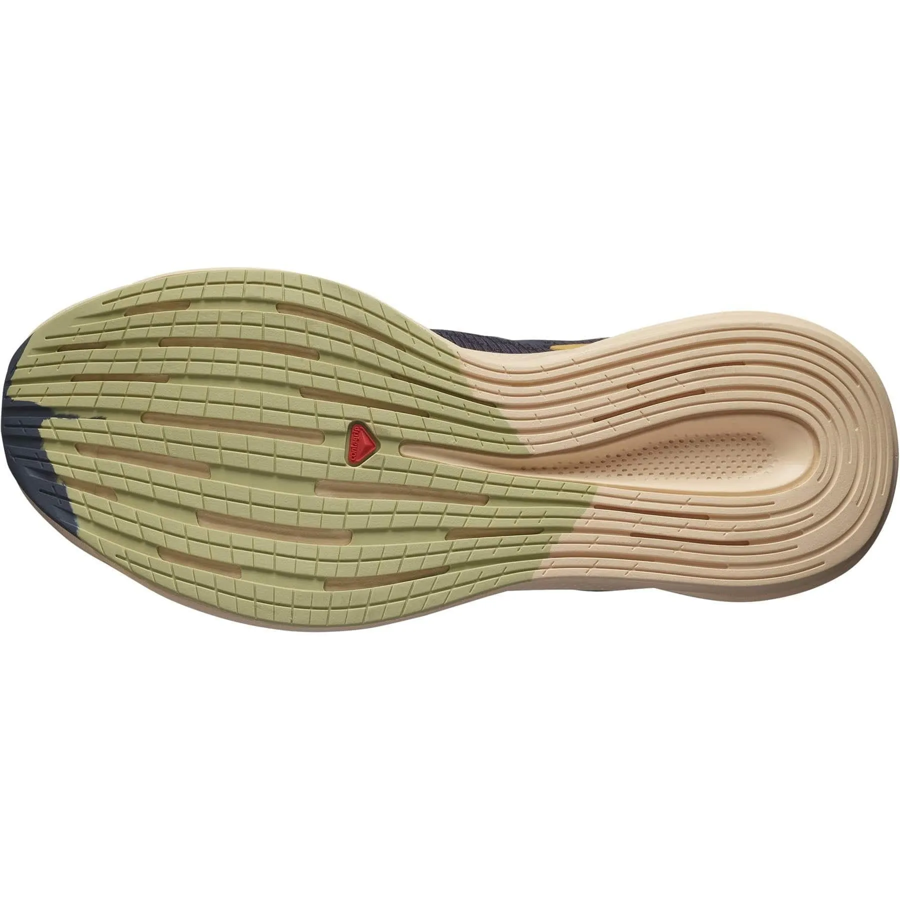 Salomon Spectur (Women's) - Ebony/Almond Cream/Leek Green