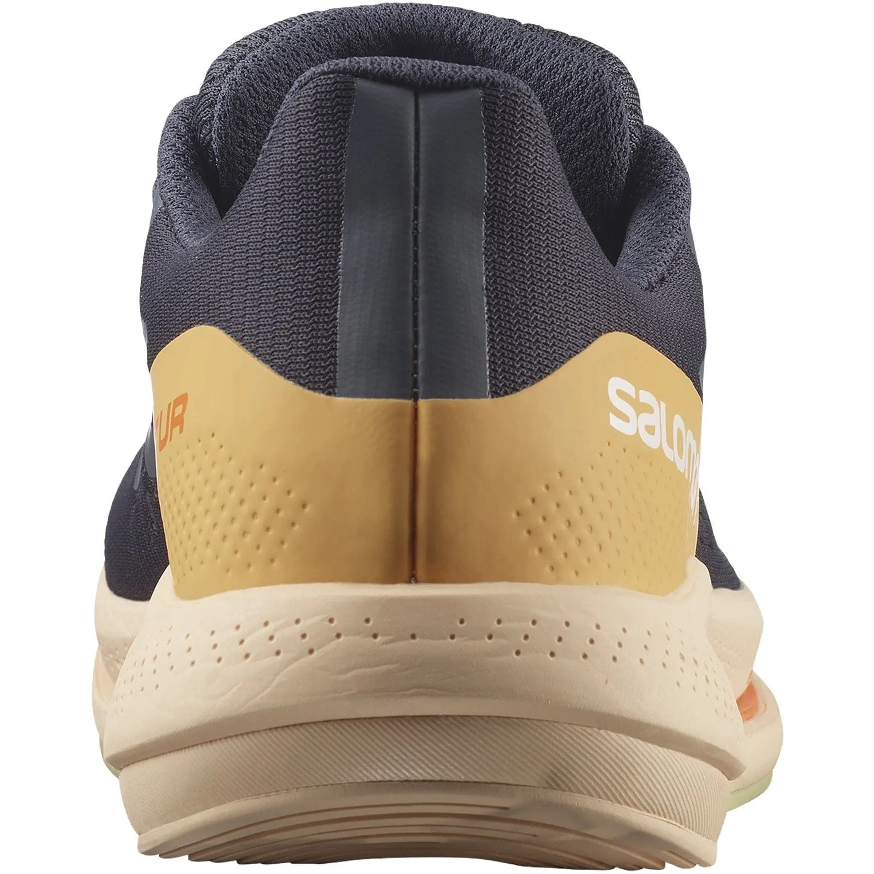 Salomon Spectur (Women's) - Ebony/Almond Cream/Leek Green