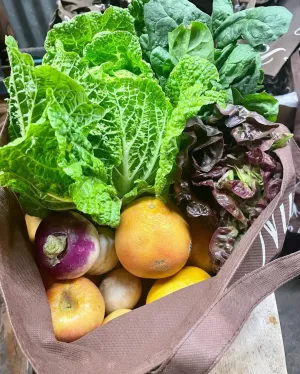 Small Fresh Harvest Basket 2 month commitment