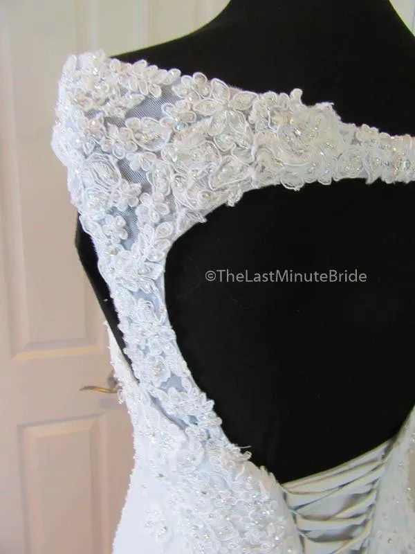 Sophia Tolli Vasya Y11635