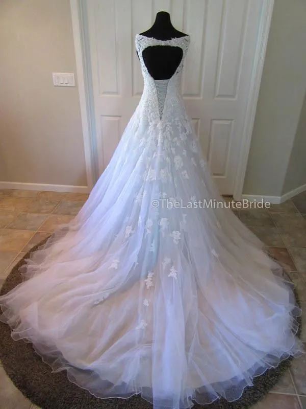 Sophia Tolli Vasya Y11635