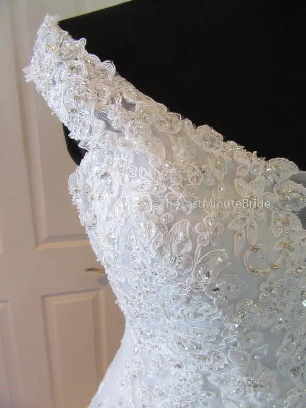 Sophia Tolli Vasya Y11635