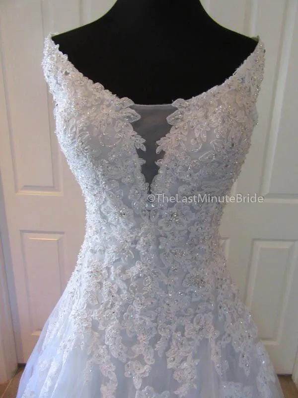 Sophia Tolli Vasya Y11635