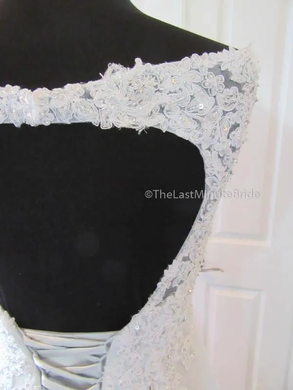 Sophia Tolli Vasya Y11635