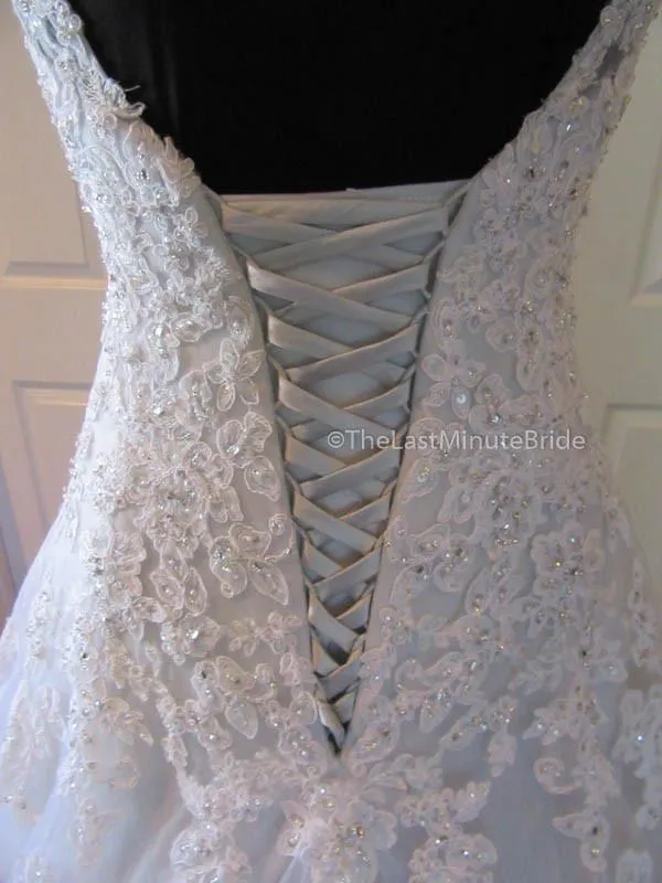Sophia Tolli Vasya Y11635