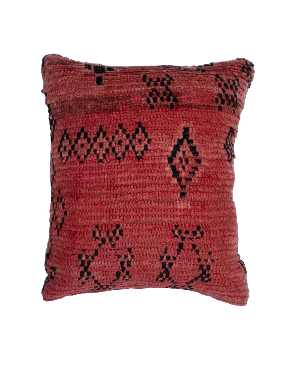 Vintage Rhamna Pillow - Terracotta Twin